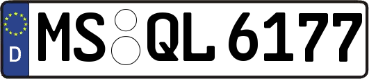 MS-QL6177