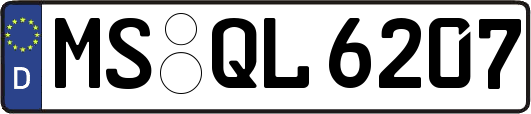MS-QL6207