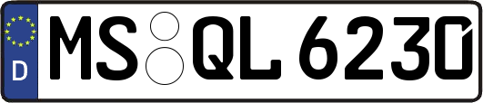 MS-QL6230