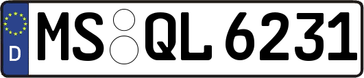 MS-QL6231
