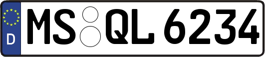 MS-QL6234