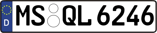 MS-QL6246
