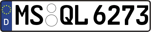 MS-QL6273