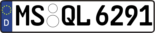 MS-QL6291