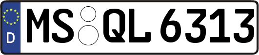 MS-QL6313