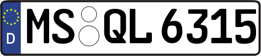 MS-QL6315