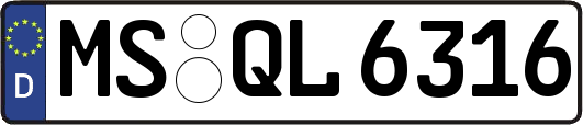 MS-QL6316