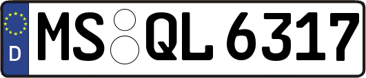 MS-QL6317