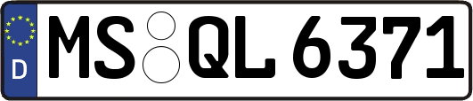 MS-QL6371