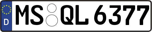 MS-QL6377
