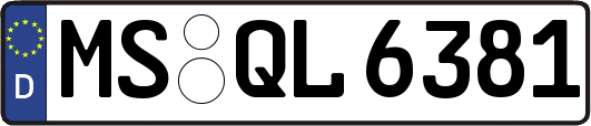 MS-QL6381