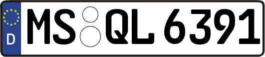 MS-QL6391