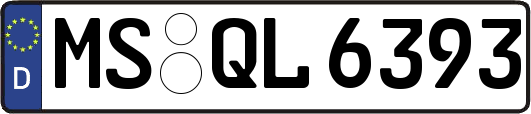 MS-QL6393