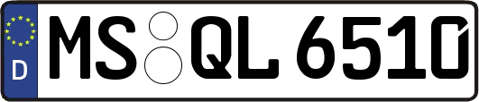 MS-QL6510