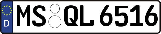 MS-QL6516