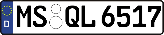 MS-QL6517
