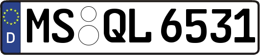 MS-QL6531