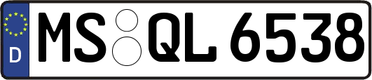 MS-QL6538