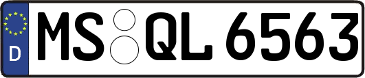 MS-QL6563