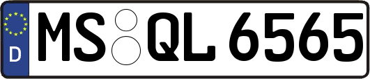 MS-QL6565