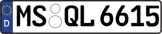MS-QL6615