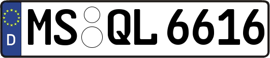 MS-QL6616
