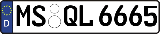 MS-QL6665