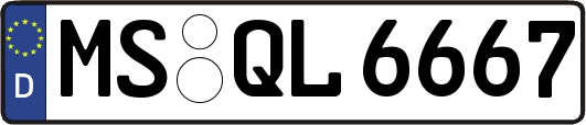 MS-QL6667