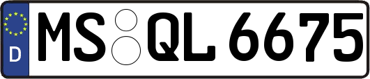 MS-QL6675