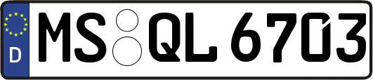 MS-QL6703