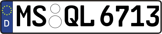 MS-QL6713