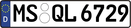 MS-QL6729