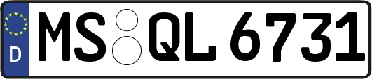 MS-QL6731
