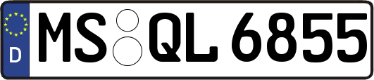 MS-QL6855