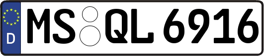 MS-QL6916
