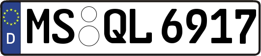 MS-QL6917