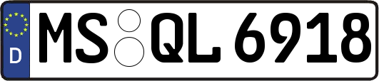MS-QL6918