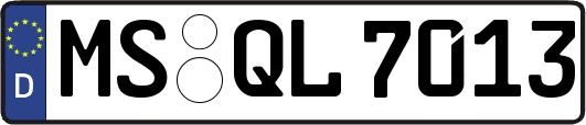 MS-QL7013
