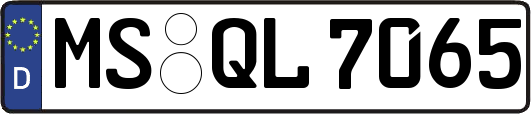 MS-QL7065