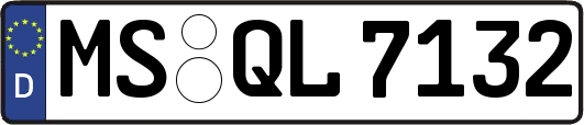 MS-QL7132