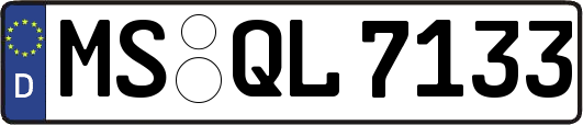 MS-QL7133