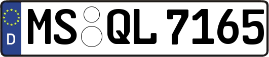 MS-QL7165
