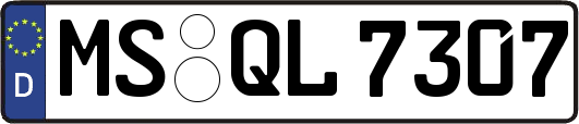 MS-QL7307