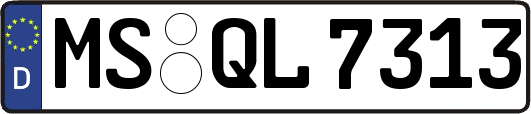 MS-QL7313