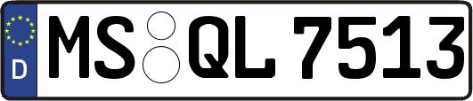 MS-QL7513