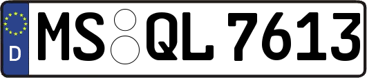 MS-QL7613