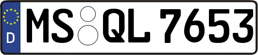 MS-QL7653
