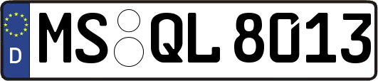 MS-QL8013
