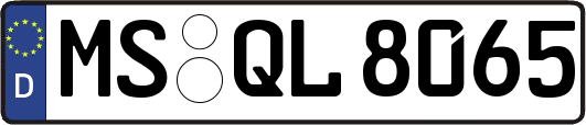 MS-QL8065