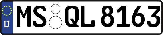 MS-QL8163